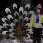 DSC_0419 DSC_0419